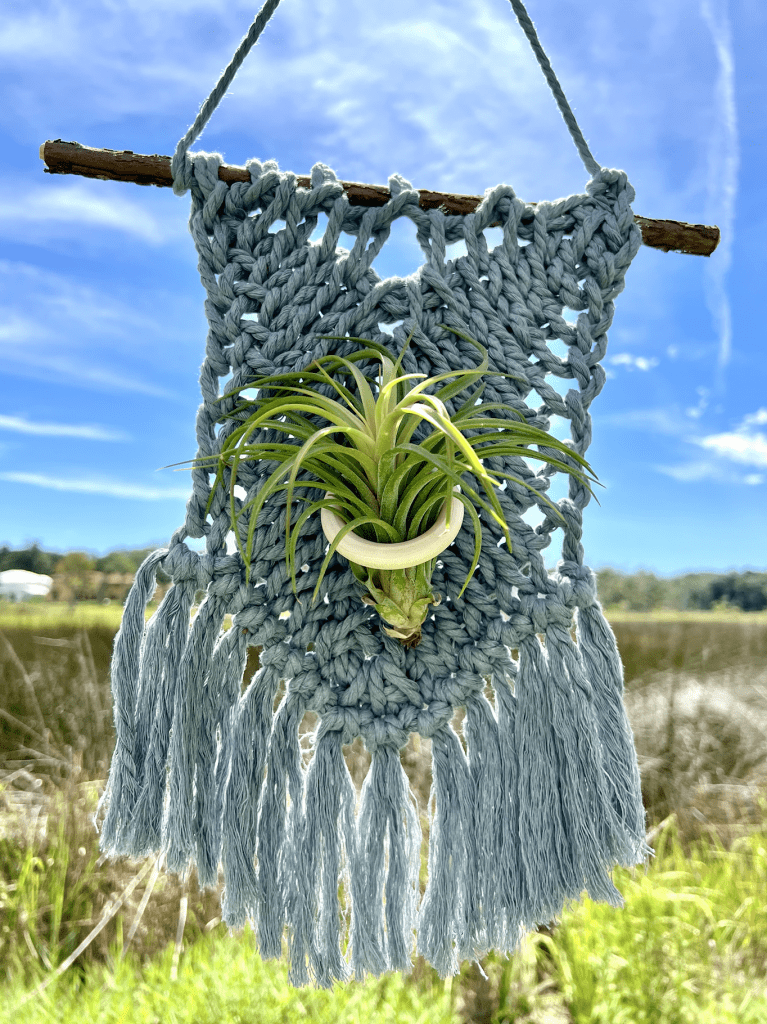 Perfect DIY home decor for the tillandsia air plant lover. Free Pattern and Full Video Tutorial. Works up very quickly making it perfect for last minute gifting or for craft markets. Feel free to sell your finished product I just kindly ask that you link back to my blog or ETSY listing so other makers can find the pattern!  Where to get air plants? I highly recommend Air Plant Supply Co. Excellent company, fast shipping and healthy plants!