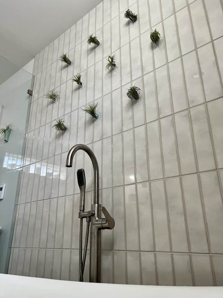 Learn how, step by step to hang air plants on drywall or tile wall with no damage.