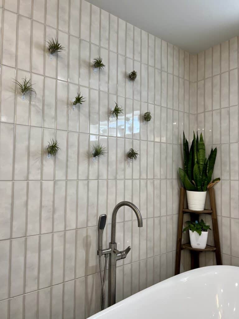 Learn how, step by step to hang air plants on drywall or tile wall with no damage.